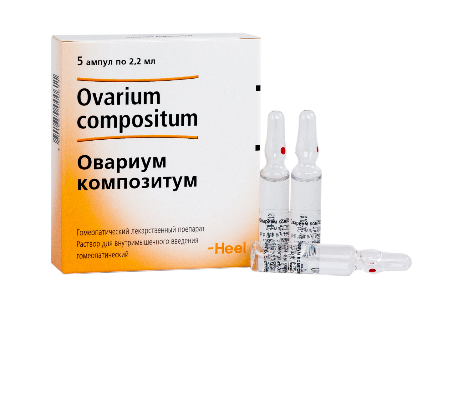 Эскулюс Композитум Капли Купить Эскулюс Композитум Капли Купить
