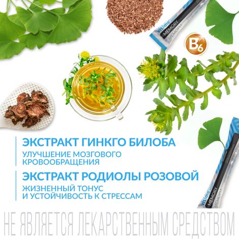 Ригла Витайм Аквастик комплекс для активности мозга Мемори стик №15 №2
