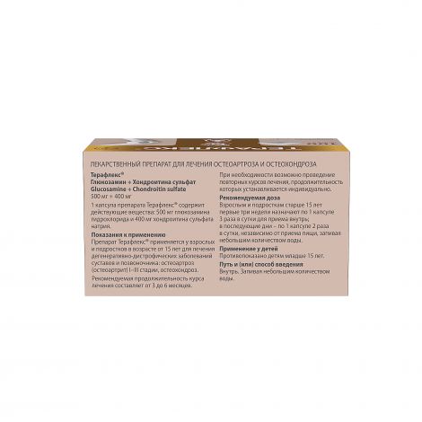 Терафлекс капс. 500мг+400мг №100 №2