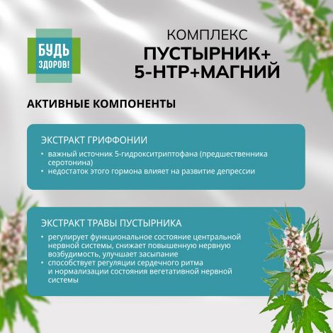 Будь Здоров! Комплекс экстракта пустырника/ 5-HTP/магния и витаминов гр. В капс. №120 №3