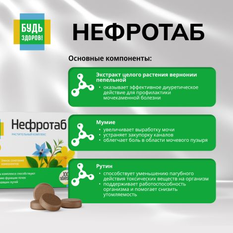 Будь Здоров! Нефротаб таб. №100 №6