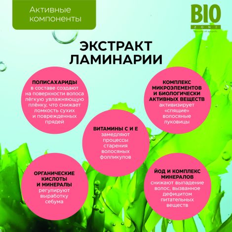 Биозон шампунь интенсивное восстановление поврежденных волос 500мл №4