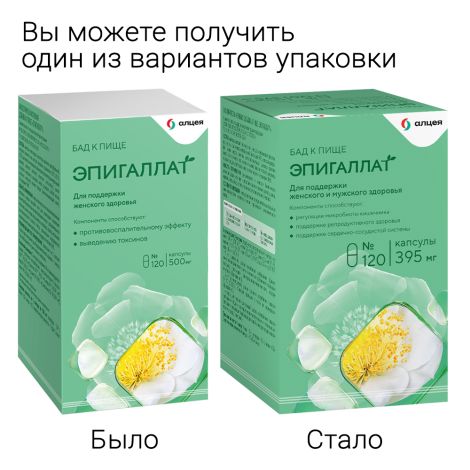Эпигаллат капсулы 395мг №120 №2