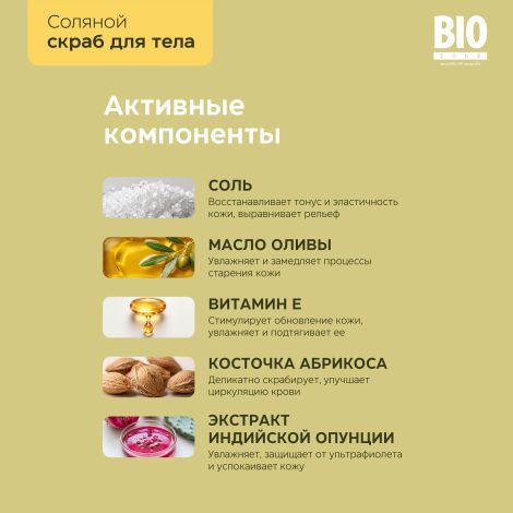 Биозон сухой соляной скраб для тела кактус 250г №3