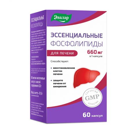 эссенциальные фосфолипиды n60 мяг жел капс