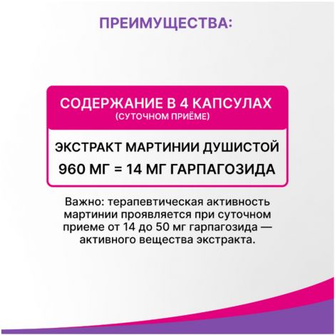 Эвалар ревмафлекс капс. 310мг №60  №4