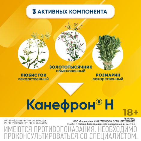 Канефрон Н таб.п/о №60 №4