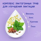 Лактамил напиток молочный для кормящих мам 350г №6