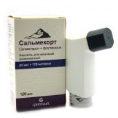 Сальмекорт аэр. для инг. 25мкг+125мкг/доза 120доз