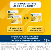 Канефрон Н таб.п/о №120 №6