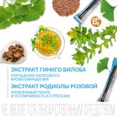 Ригла Витайм Аквастик комплекс для активности мозга Мемори стик №15 №2