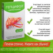 Гепцифол таб.п/о плен.раствор./кишечн. 400мг №20 №5