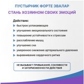 Пустырник Форте таб. 0,55г №40+20 №3