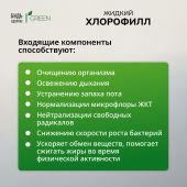 Будь Здоров! Грин Хлорофилл жидкий со вкусом малины и мяты 250мл №3