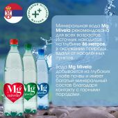 Ригла вода минеральная Мивела Mg++ природ.питьевая лечеб.-столов.слабогаз. 1л №3