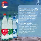 Ригла вода минеральная Мивела Mg++ природ.питьевая лечеб.-столов.негаз. 1л №3