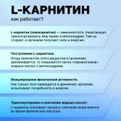 Смарт Пауэр L-карнитин капс. №80 №7