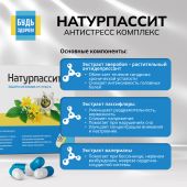 Будь Здоров! Натурпассит антистресс комплекс капс. №60 №4