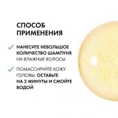 Виши Деркос Техник интенсивный шампунь-уход против перхоти для сух. волос рефил 390мл №6