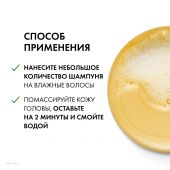 Виши Деркос Техник шампунь-уход для норм. и жирных волос интенсивный против перхоти DS рефил 390мл №6