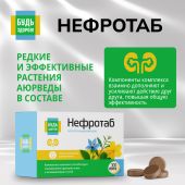 Будь Здоров! Нефротаб таб. №100 №8