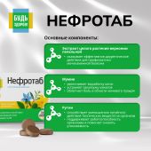 Будь Здоров! Нефротаб таб. №100 №6