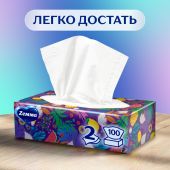 Земма салфетки бумажные двухсл. неаром. №100 №4