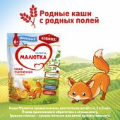 Малютка каша молочная пшеница/тыква 220г №9