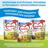 Малютка каша молочная кукуруза 220г №9