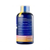waterdent жидкость для ирригатора+ополаскиватель ежедневный уход утренний детокс 500мл №2