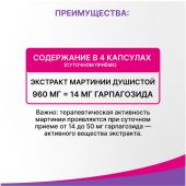 Эвалар ревмафлекс капс. 310мг №60  №4