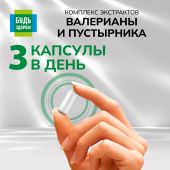Будь Здоров! Комплекс экстрактов валерианы/пустырника капс. №30 №4