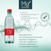 Ригла вода минеральная Мивела Mg++ природ.питьевая лечеб.-столов.слабогаз. 0,5л №2