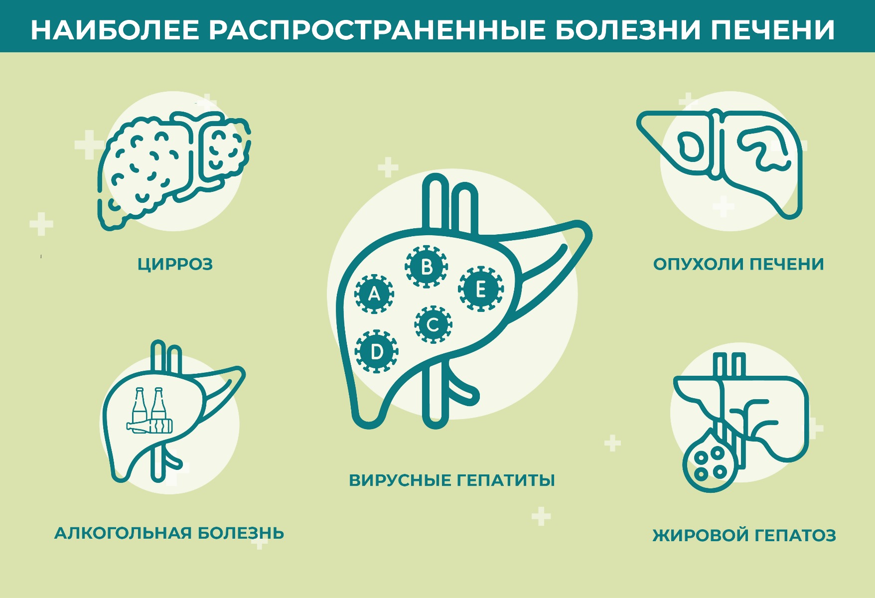 Интернет-аптека Будь Здоров!: купить лекарства по низким ценам в Москве